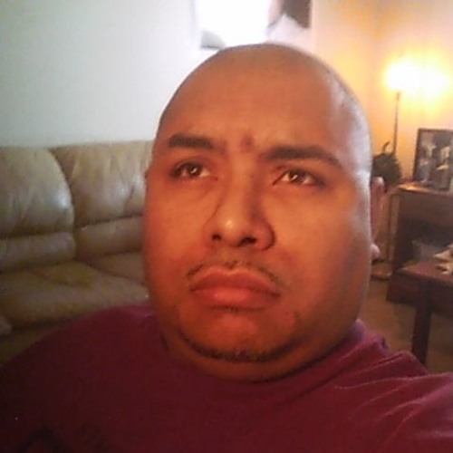 El Camino/ the road ahead.