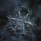 FrostByte