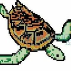 turtlesound