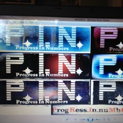 Progress In Numbers LLC