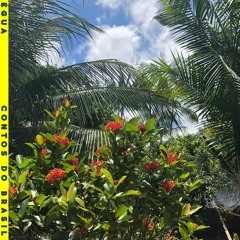 The Marvelous Supreme