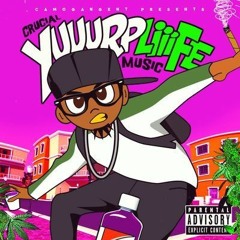 Crucial  Mr. Camo Gang