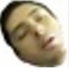CLDingo