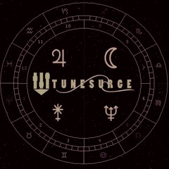 TUNESURGE _Omar Abbas