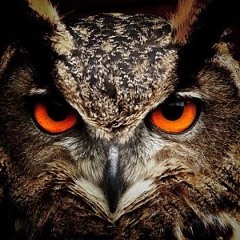 Asio Otus