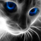 User 161690108
