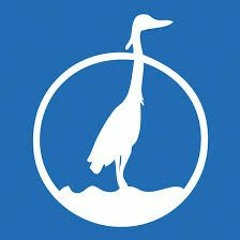 The Heron Experiment