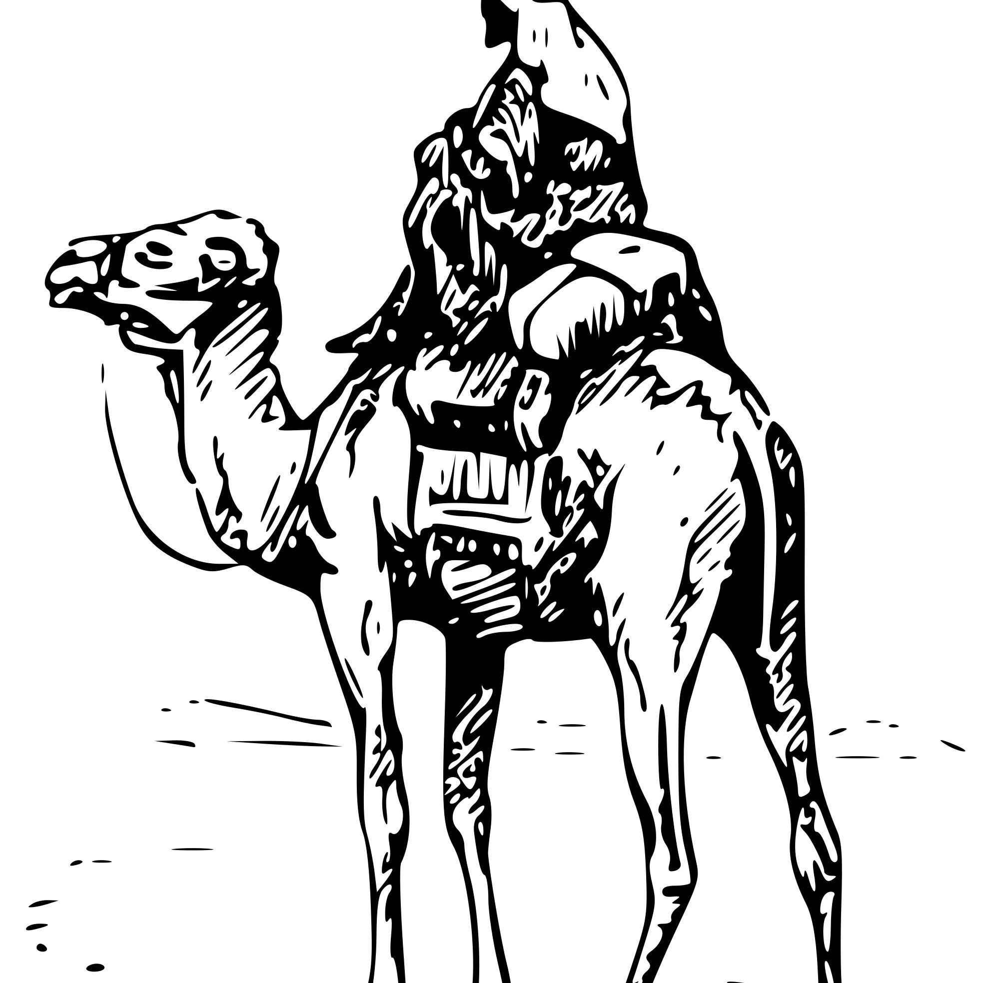 Lost Nomads Pod