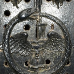 Cocaine Molly and the Electric Fences/The Tumors