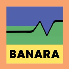 Banara Records