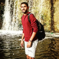 Mohamed Saad Hasanin