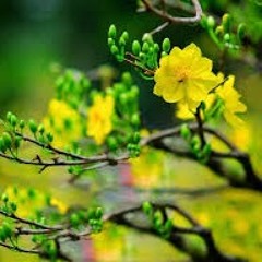 Hài Kịch -Thế Giới Huyền Bí- - PBN 94 - Hoài Linh, Chí Tài, Uyên Chi
