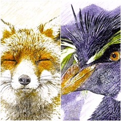 The Fox and The Penguin