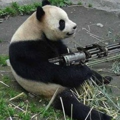 Animal Army