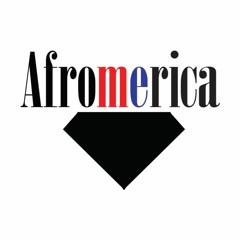 Afromerican Project