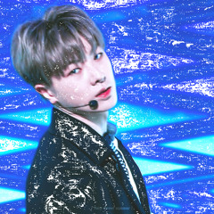 라벤더
