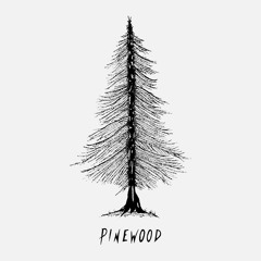 Pinewood Collective