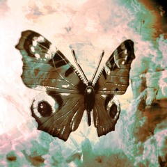 The Illusioni Majoris