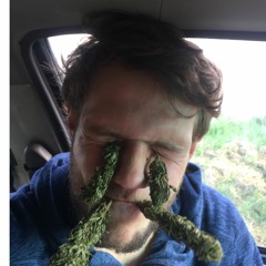 Valentijn Klok