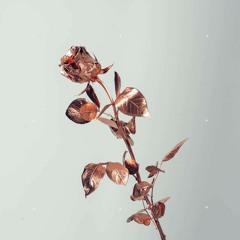 Elliott Callender