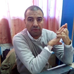 tamer elguindy