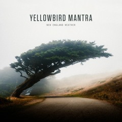 Yellowbird Mantra