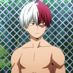 Todoroki Shoto
