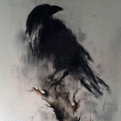 ItsRaven!