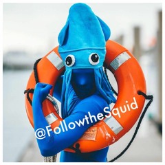 FollowTheSquid