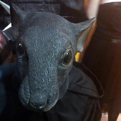 The Longing Loser(2023 remaster)