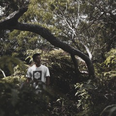 andolio