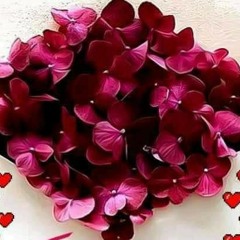 renad