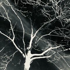 Zart Aeman