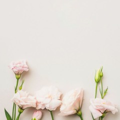 Dini Fitria Ramadhani