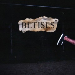 Bêtises²