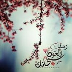 العابده لله