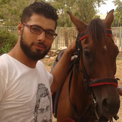 Hamada Ahmed