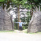 John Forester
