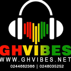 GhVibes Dotnet