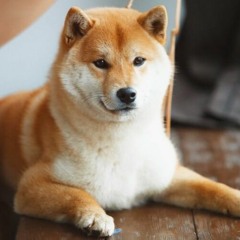 Cool Guy