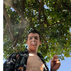 KANNABISKODY