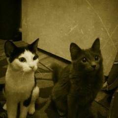 Atrayou Skye Siverly