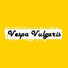 Vespa Vulgaris