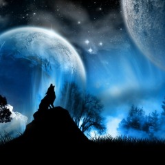 одомашненная собака