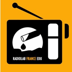 Radio Lab France 1