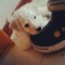 David Caicedo