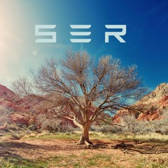 S.E.R