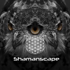 Shamanscape Records