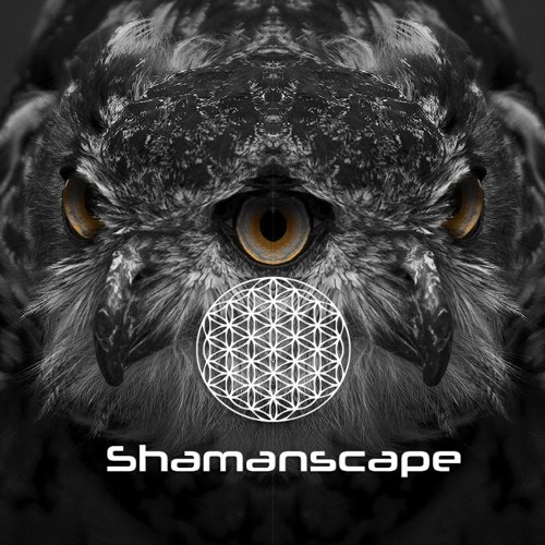 Shamanscape Records’s avatar
