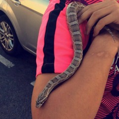 Nabil l'homme serpent